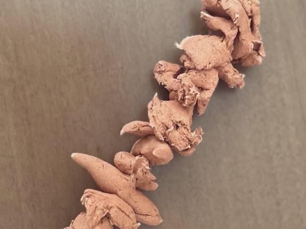 発想が天才！　５歳児が粘土でつくった『あるもの』に７万人が爆笑