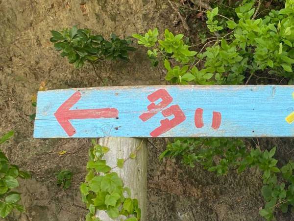 島の道案内　右か左か、基準になるのは？　「雑だけど的確」「これは迷わず…」