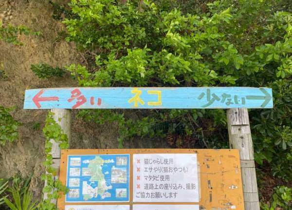 島の道案内　右か左か、基準になるのは？　「雑だけど的確」「これは迷わず…」