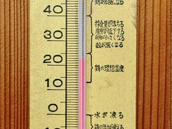 おばあちゃん家の温度計、よく見ると違和感が　「ジワジワくる」「こんなのあるんだ」