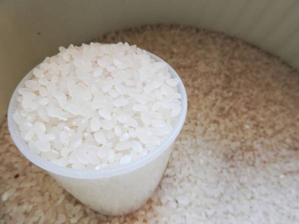 「お米の詰め替えが面倒…」から卒業できる！　見た目スッキリの「米びつ」が超優秀