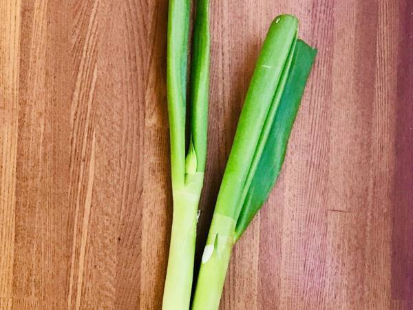 いつも捨てていたネギの青い部分　巻いて焼くだけのおつまみに「目から鱗」