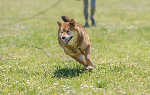 「ひとみ、待ってくれ」という男性の声　修羅場かと思った女性が窓の外を確認すると？