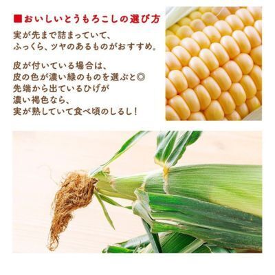 これは勉強になる！　味の素公式が教える「トウモロコシ調理」のコツ