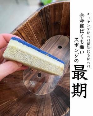使い古したスポンジの再利用術に「その発想なかった」　斬新なリサイクル術とは