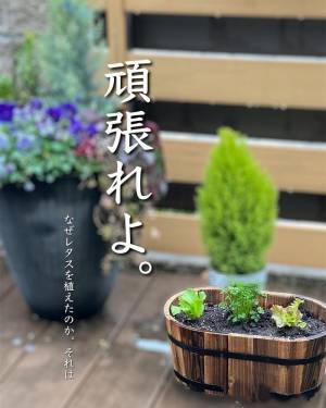 使い古したスポンジの再利用術に「その発想なかった」　斬新なリサイクル術とは