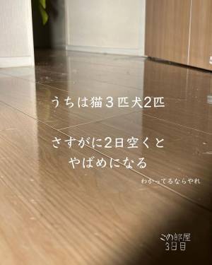 え…こんなに汚れていた！？　掃除機をかけるべきか悩んだ時の「汚れチェック方法」が便利