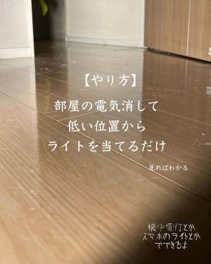 え…こんなに汚れていた！？　掃除機をかけるべきか悩んだ時の「汚れチェック方法」が便利