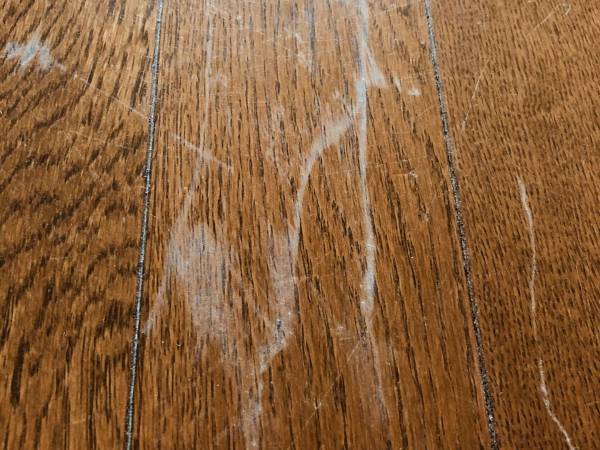 え…こんなに汚れていた！？　掃除機をかけるべきか悩んだ時の「汚れチェック方法」が便利