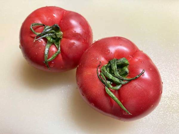 JA全農が公開した『トマトすき焼き』に反響　「久々にご飯をおかわりした」