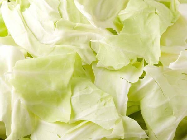 調理時間５分　電子レンジで作れる『無限キャベツ』のレシピを紹介