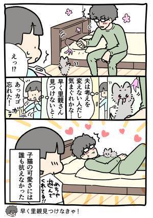 夫が「子猫の世話は手伝わない」と言った結果？　妻が目撃した光景に笑う