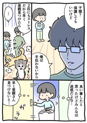 夫が「子猫の世話は手伝わない」と言った結果？　妻が目撃した光景に笑う
