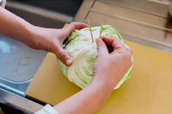 キャベツの正しい保存方法に「なるほど」　カットキャベツの保存のコツが…？