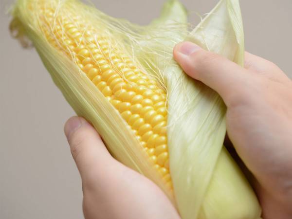 考えたことがなかった！　トウモロコシの『から揚げ』レシピに「大量消費できる」