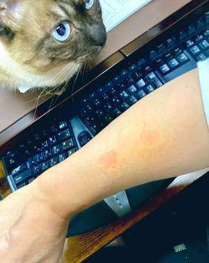 「嗚呼、たまらん」　飼い主が悶絶した、愛猫の『痕跡』