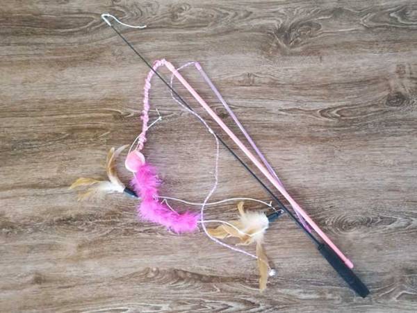 １００均で見つけた『走るネズミ』　次々とおもちゃを破壊する愛猫に試したら…？