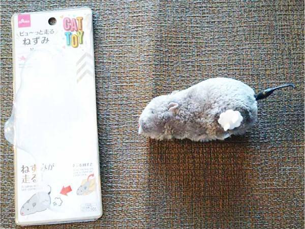 １００均で見つけた『走るネズミ』　次々とおもちゃを破壊する愛猫に試したら…？
