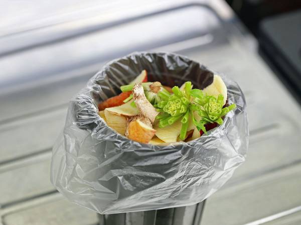 生ゴミのにおいを抑えるライフハック　乾燥させた『ある物』を入れておくだけ！？