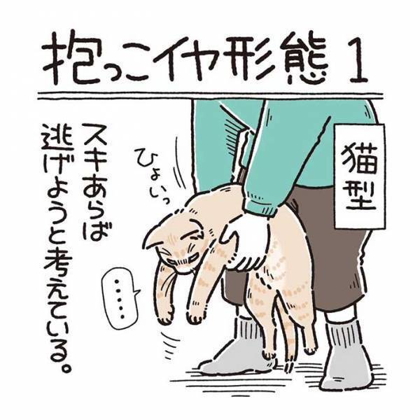 気分によって抱っこを拒む猫　愛らしい姿にキュン不可避！