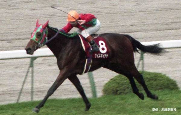 「感動をありがとう」「本当にお疲れ様」　ナイスネイチャが３５歳で逝去