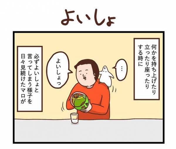 飼い主の代わりに「よいしょ」をいうインコ　練習の成果を発揮する時が来たが？　「そう来るか」「吹いた」