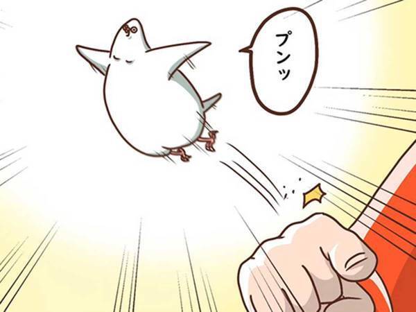 飼い主の代わりに「よいしょ」をいうインコ　練習の成果を発揮する時が来たが？　「そう来るか」「吹いた」