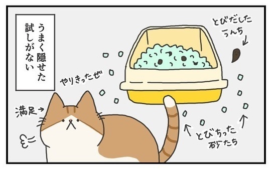 猫のいる生活あるある　上手にウンチが隠せなくても満足顔　「同じ状況」「なんて豪快な」