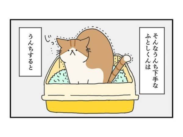 猫のいる生活あるある　上手にウンチが隠せなくても満足顔　「同じ状況」「なんて豪快な」