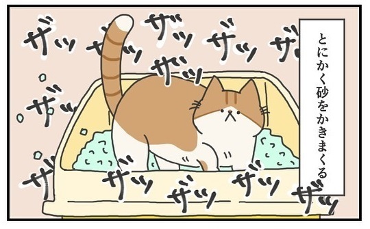 猫のいる生活あるある　上手にウンチが隠せなくても満足顔　「同じ状況」「なんて豪快な」