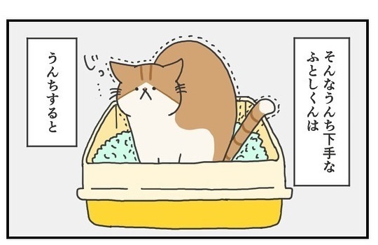 猫のいる生活あるある　上手にウンチが隠せなくても満足顔　「同じ状況」「なんて豪快な」