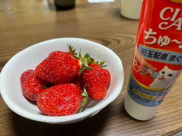 皿に盛ったイチゴ　食べる前に二度見した理由が？　「これは危険」「笑った」