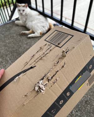 荷物を置き配で受け取り　しかし、箱がボロボロ！？　受け取り主が怒りのコメント