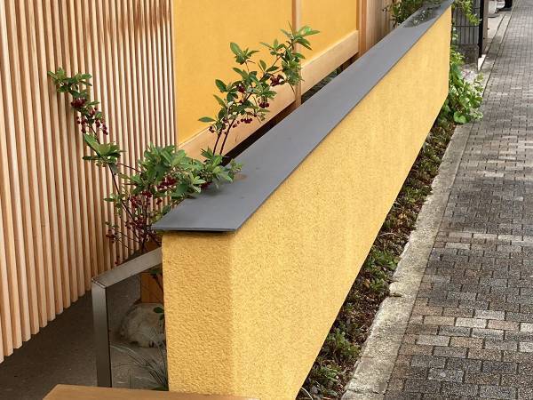 道端でカステラを見つけた男性　撮影された１枚に「想像以上だった」