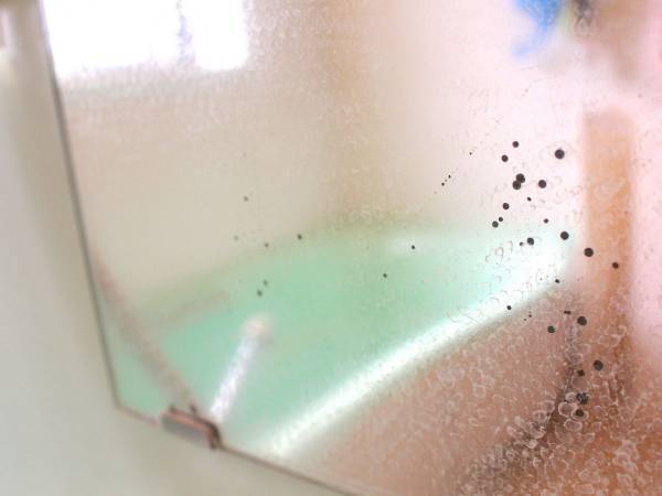 浴室鏡についた水垢の落とすには？　楽天で見つけた掘り出し物に「すごい」「魔法みたい」
