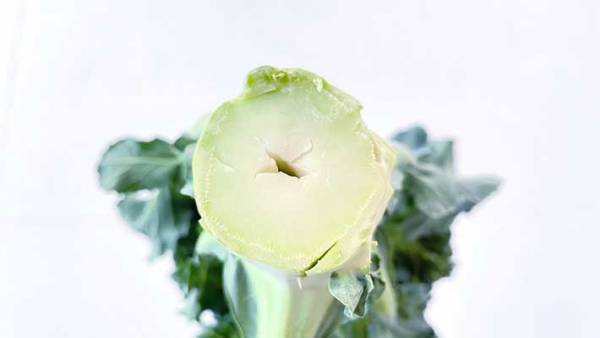 ブロッコリーの茎にあった『謎の穴』　農家の呼びかけに「そうだったの！？」「初めて知った」