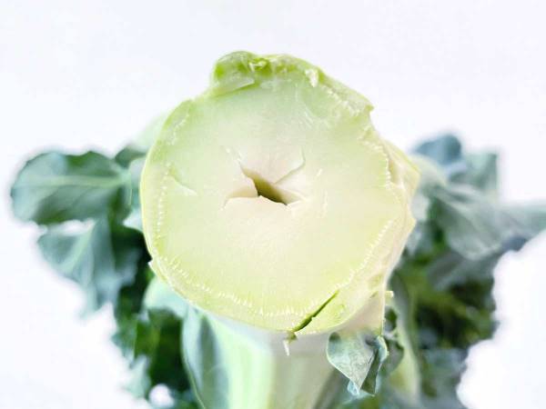 ブロッコリーの茎にあった『謎の穴』　農家の呼びかけに「そうだったの！？」「初めて知った」