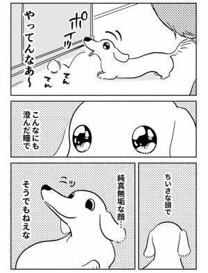 ボール遊びを催促する犬　飼い主が目撃した『ずるいアピール』に笑いがこみ上げる