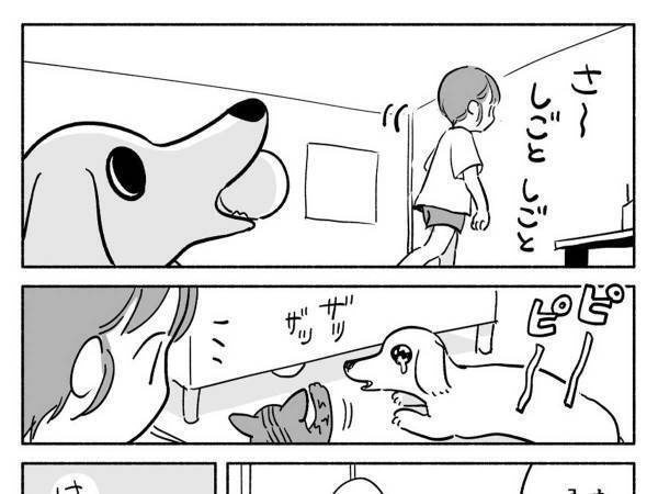 ボール遊びを催促する犬　飼い主が目撃した『ずるいアピール』に笑いがこみ上げる
