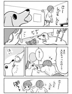 ボール遊びを催促する犬　飼い主が目撃した『ずるいアピール』に笑いがこみ上げる