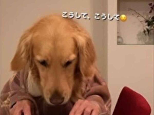夜中にバナナを食べる犬　器用すぎる手元を見ると…？　「三度見した」「お見事！」
