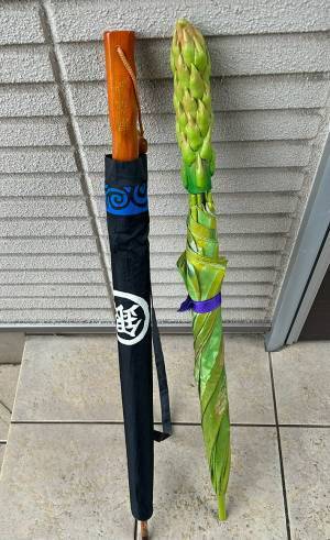 「そろそろ普通の傘を買わねば」　投稿された１枚に爆笑！