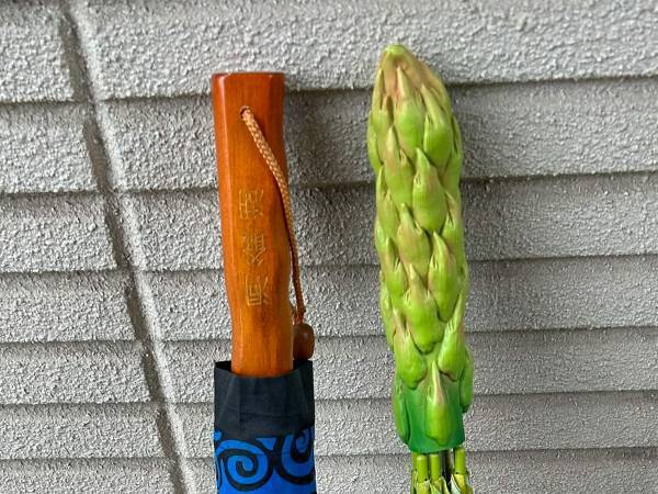 「そろそろ普通の傘を買わねば」　投稿された１枚に爆笑！