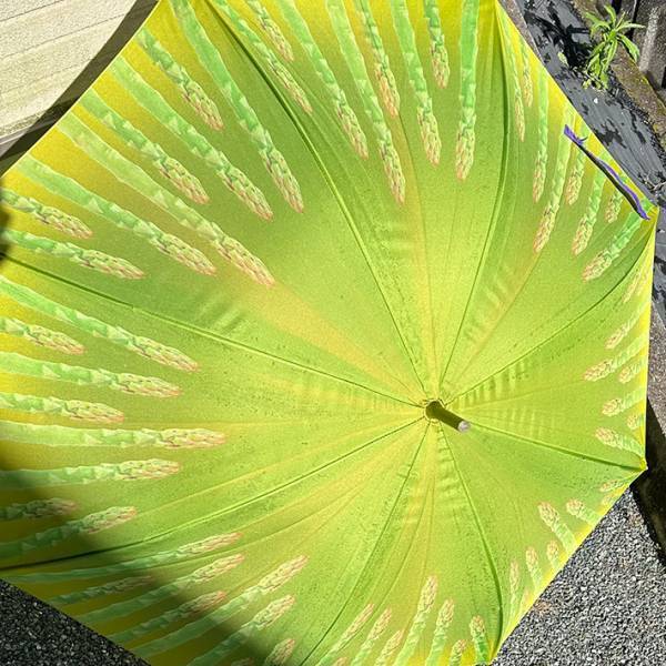 「そろそろ普通の傘を買わねば」　投稿された１枚に爆笑！