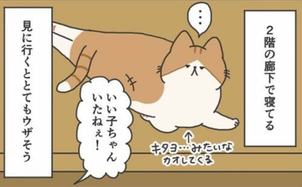 「今日に限って静かだな」　いつもうるさい猫　家中を探し回った結果…