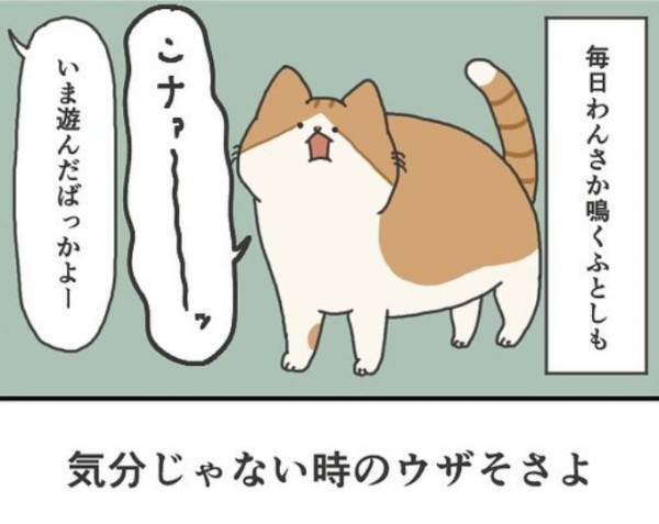 「今日に限って静かだな」　いつもうるさい猫　家中を探し回った結果…