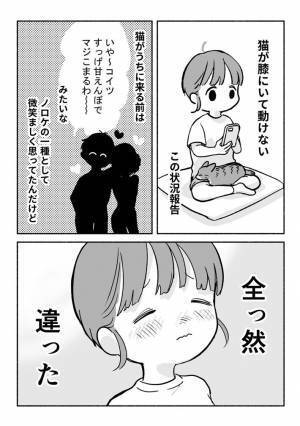 惚気に聞こえていた、猫の飼い主からの『ある報告』　しかし、それは違った…！？