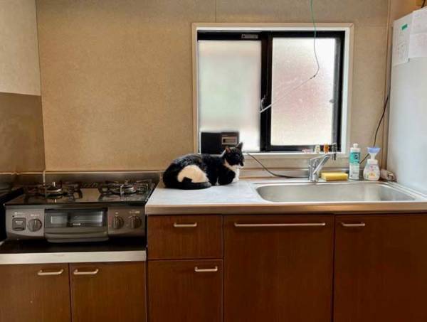 「うちのおにぎりの『おにぎり』を見てほしい」　どういうことかというと？