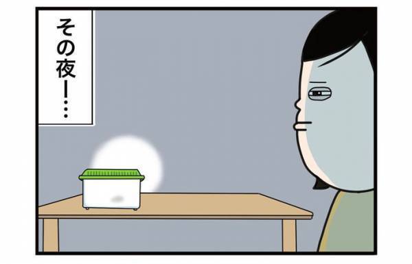 飼育ケースを欲しがった息子　帰宅後、入れていたものに「マジか…」