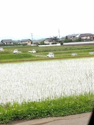 なぜか、軽トラが可愛く見えてくる！？　１３万人が錯覚した１枚がコチラ